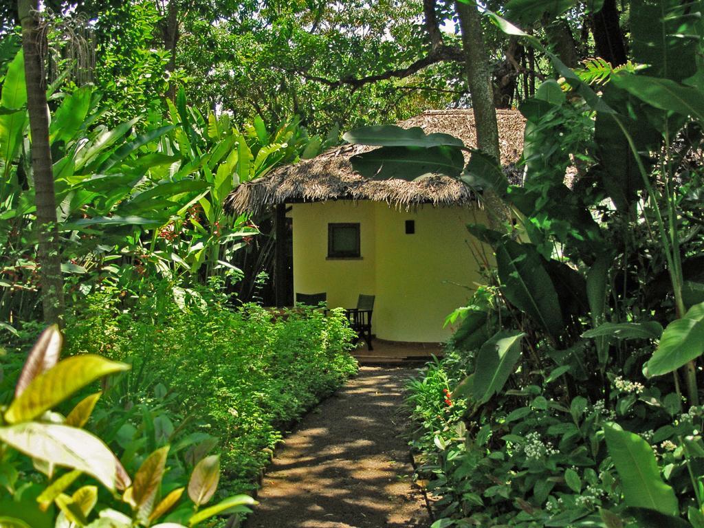 Moivaro Coffee Lodge Arusha Exteriör bild