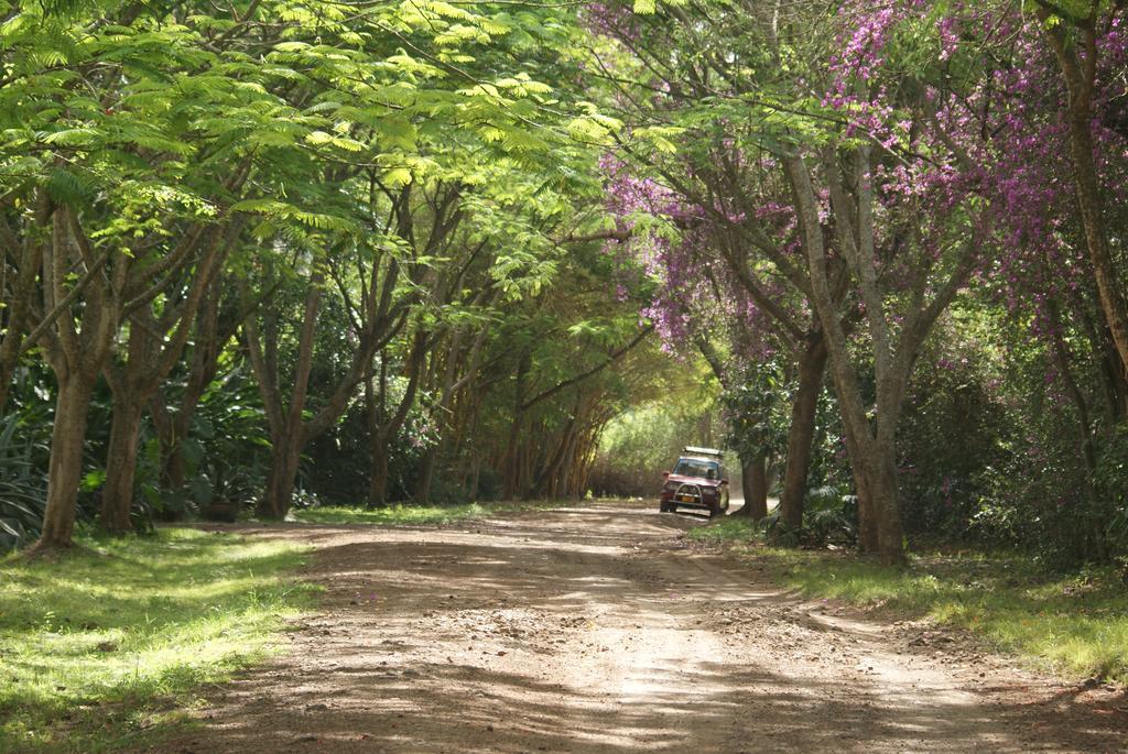 Moivaro Coffee Lodge Arusha Exteriör bild
