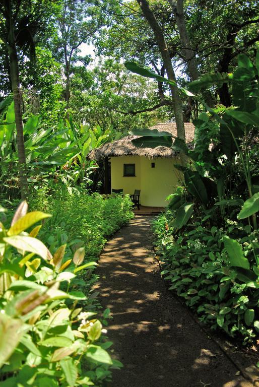 Moivaro Coffee Lodge Arusha Rum bild