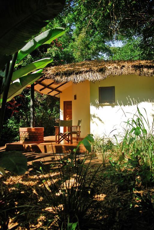 Moivaro Coffee Lodge Arusha Rum bild